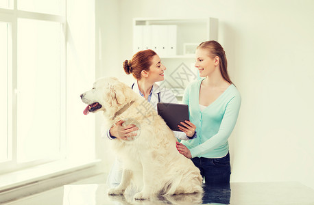 医学,宠物,保健,技术人的快乐的女人与黄金猎犬兽医医生持平板电脑兽医诊所图片