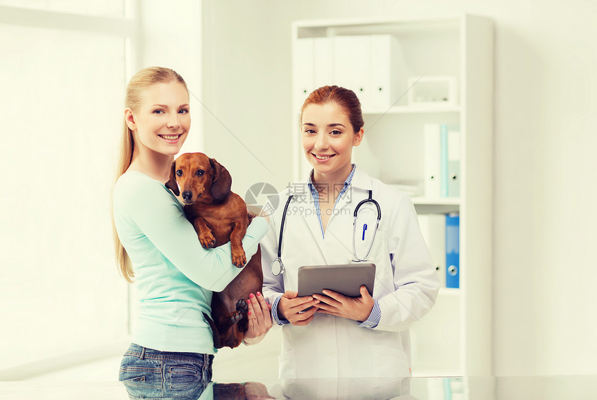 医学,宠物,保健,技术人的快乐的女人抱着达奇森德狗兽医医生与平板电脑兽医诊所图片