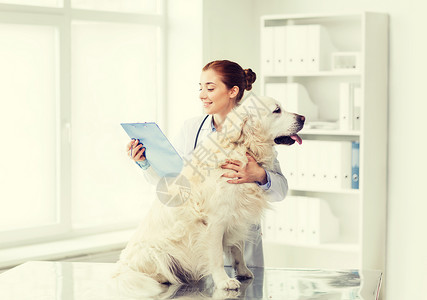 医学,宠物,动物,保健人的快乐的兽医医生与黄金猎犬剪贴板兽医诊所图片