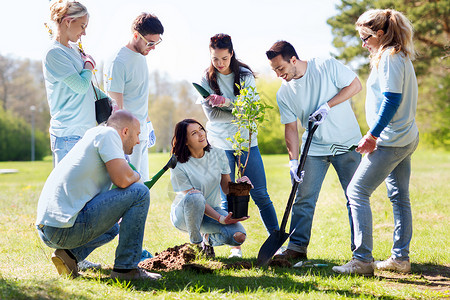 志愿服务慈善人生态理念群快乐的志愿者公园里植树用铲子挖洞图片