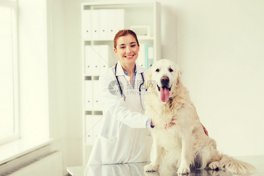 医学,宠物,动物,保健人的快乐的兽医医生与黄金猎犬兽医诊所图片