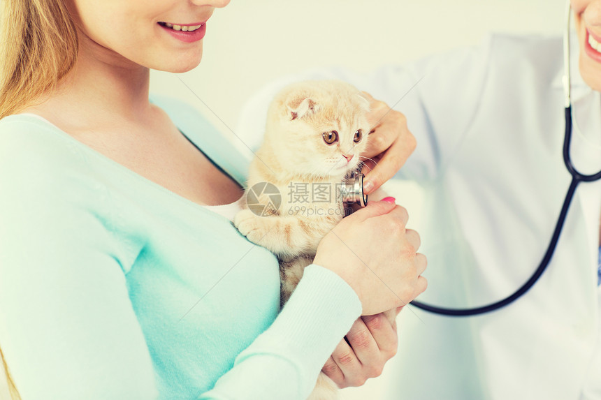 医学,宠物,动物,保健人的快乐的妇女兽医与听诊器检查苏格兰折叠小猫兽医诊所图片