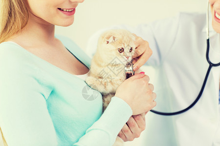 医学,宠物,动物,保健人的快乐的妇女兽医与听诊器检查苏格兰折叠小猫兽医诊所图片