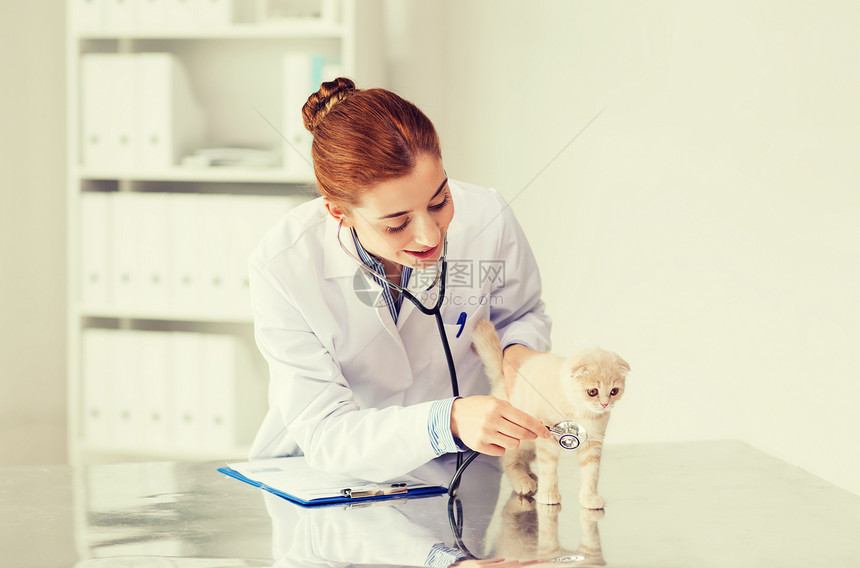 医学,宠物,动物,保健人的快乐的兽医医生用听诊器检查苏格兰折叠小猫兽医诊所图片