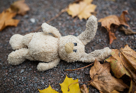 季节,童孤独的孤独的玩具兔子秋天的树叶路上地图片