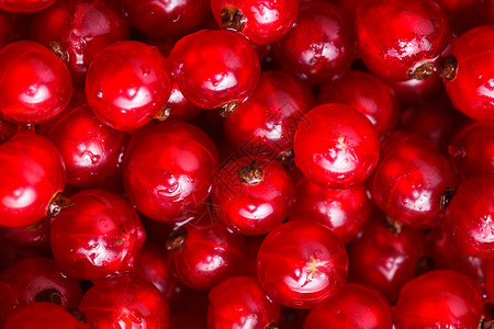 红色醋栗水果背景红色醋栗图片