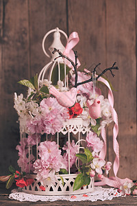 白色鸟笼春天的装饰粉红色的鸟树枝上,破旧别致的笼子里放着花春天的装饰背景