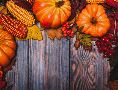 感恩节的静物浆果,坚果,玉米南瓜桌子上图片