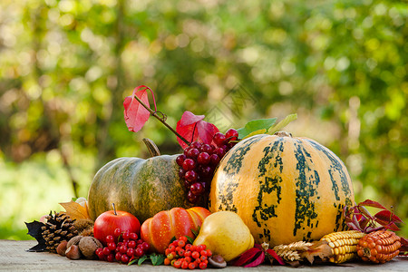 感恩节快乐的静物水果,坚果蔬菜,落户外桌子上图片