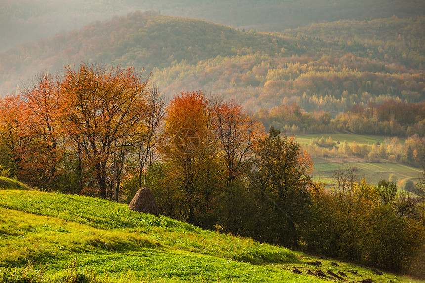 美丽的乡村秋景喀尔巴阡山秋天的风景图片