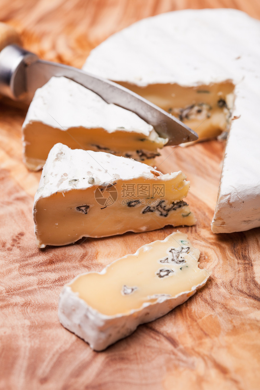 柔软的奶酪,含蓝色的霉菌坚实的白色皮肤奶酪重奏中的两种模具奶酪两个模子图片