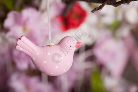 装饰鸟春天的装饰粉红色的鸟树枝上,破旧别致的笼子里放着花春天的装饰背景