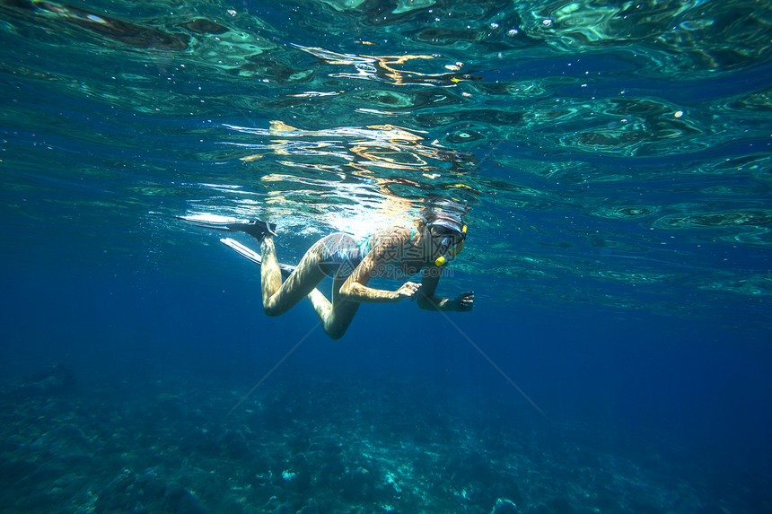 美丽的女人热带海洋浮潜图片