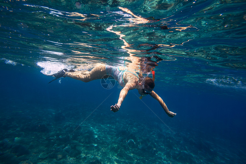 轻女印度洋的热带水中浮潜图片