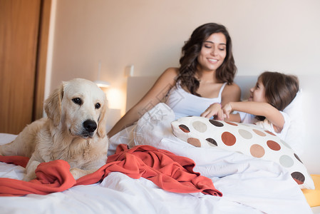金色猎犬小狗床上与人类家庭专注于狗图片