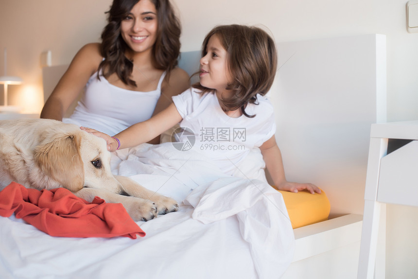 金色猎犬小狗床上与人类家庭专注于狗图片