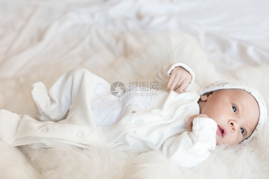 小新生婴儿白色的皮毛上图片