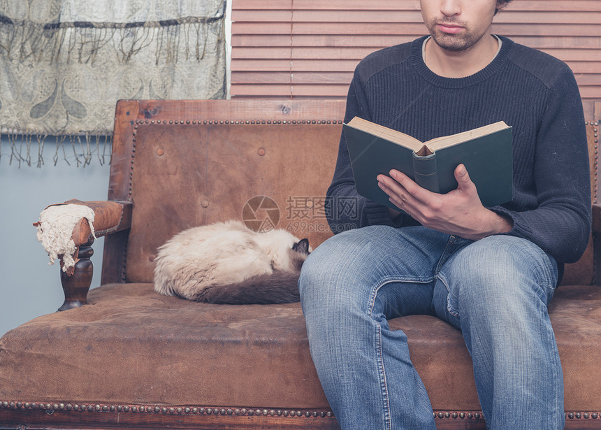 个轻人只猫坐沙发上,正读本大书图片