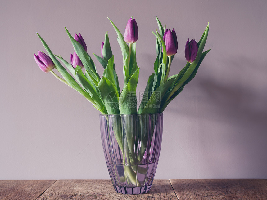 紫色郁金香的花瓶图片