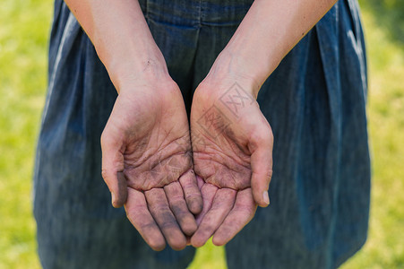 个轻的女人正展示她肮脏的手被园艺上的污垢所覆盖图片