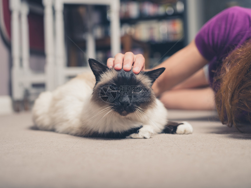 只鸟人猫正地板上被位轻女子抚摸图片