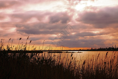湖上美丽的日落天空的景观图片