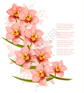 群美丽的粉红色兰花矢量背景