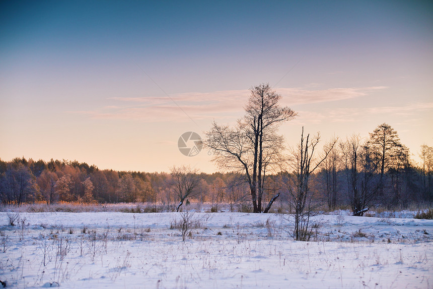 白俄罗斯的冬天黎明冬天早上日出雪景图片