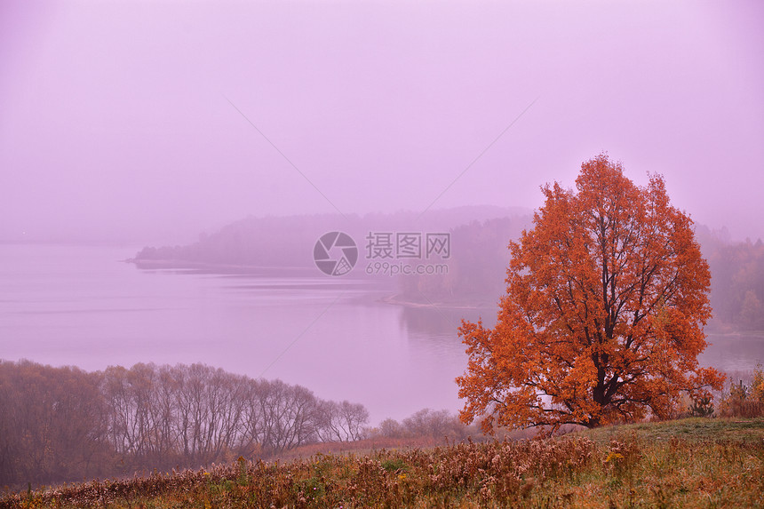 十月黎明秋天的早晨秋天的颜色印度夏天图片