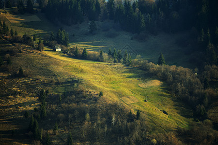 春天绿色的山坡四月阳光明媚的喀尔巴阡山图片