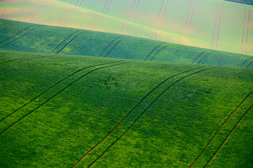 绿色的春山莫拉维亚的耕地图片