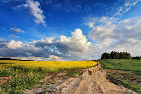科尔任科尔路白俄罗斯春天的乡村道路科尔扎田野背景