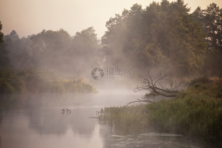 早上雾的河全景图片