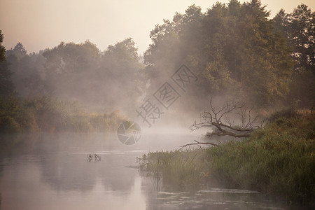 早上雾的河全景图片