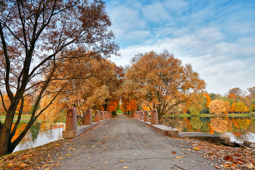 秋天十月五彩缤纷的公园公园里的树叶树小巷图片