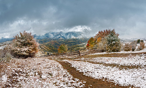 秋天的场雪山村的降雪棵绿色的树上下雪图片