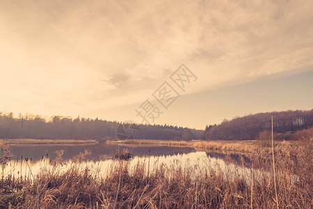 冬天日出时安静的湖图片