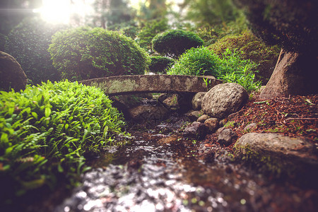 日本精神花园中的座石桥图片