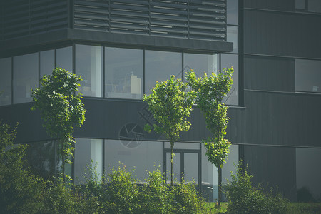 黑色办公楼前的绿树图片