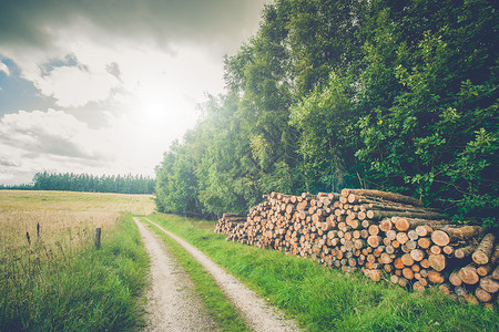 路边木制原木的乡村风景高清图片
