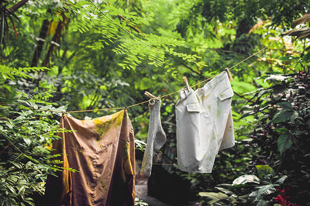 丛林里电线上的脏衣服图片