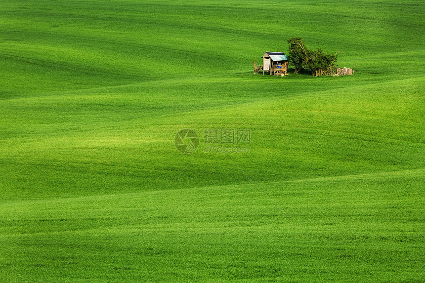 绿色的田野波浪与小屋,南莫拉维亚,捷克共国图片