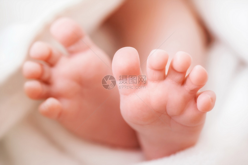新生儿的脚毛巾里图片