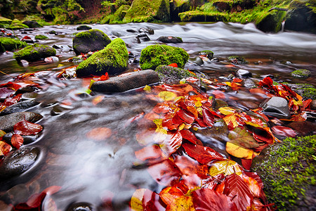 卡门尼斯河秋季与长曝光,波西米亚瑞士,捷克共国背景