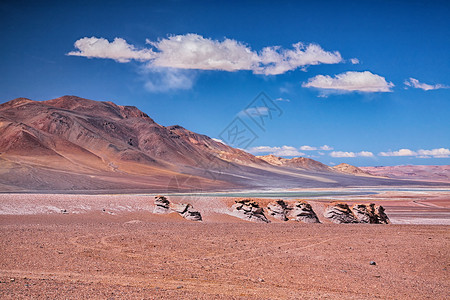 萨拉阿瓜斯卡连特斯,沙漠阿塔卡马,智利高清图片