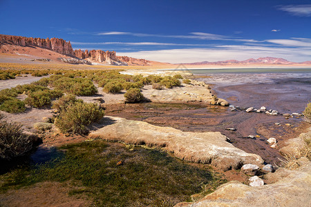 盐湖萨拉尔德塔拉,沙漠阿塔卡马,智利图片