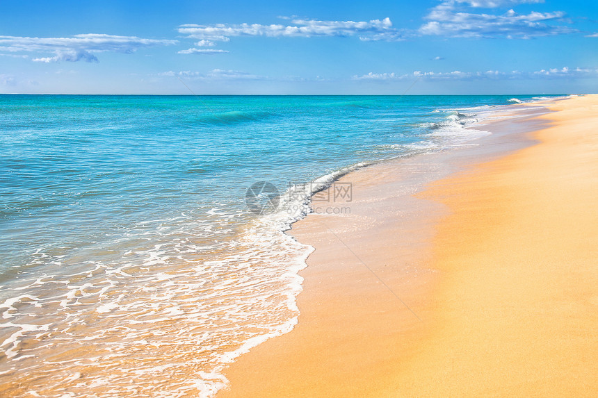 沙滩与冲浪水背景图片