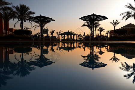 上午游泳池,胡尔哈达,埃及图片