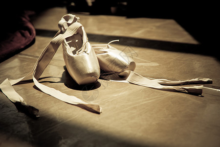 芭蕾舞拖鞋图片