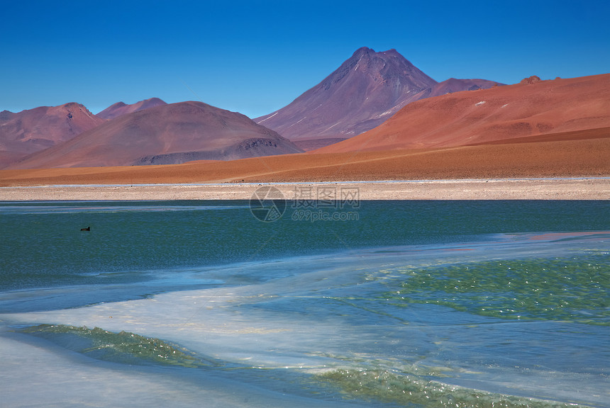 查看智利阿塔卡马沙漠的冰冻泻湖Quepiaco阿卡马拉奇火山图片